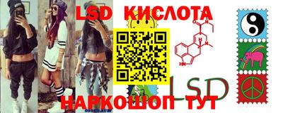 молекула духа Новозыбков