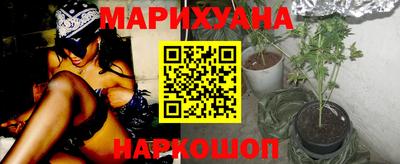 молекула духа Новозыбков